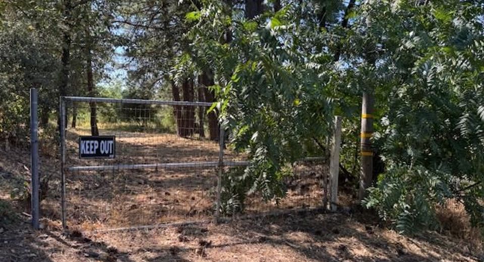 Bitney Springs Rd, Rough and Ready, CA 95975 Photo