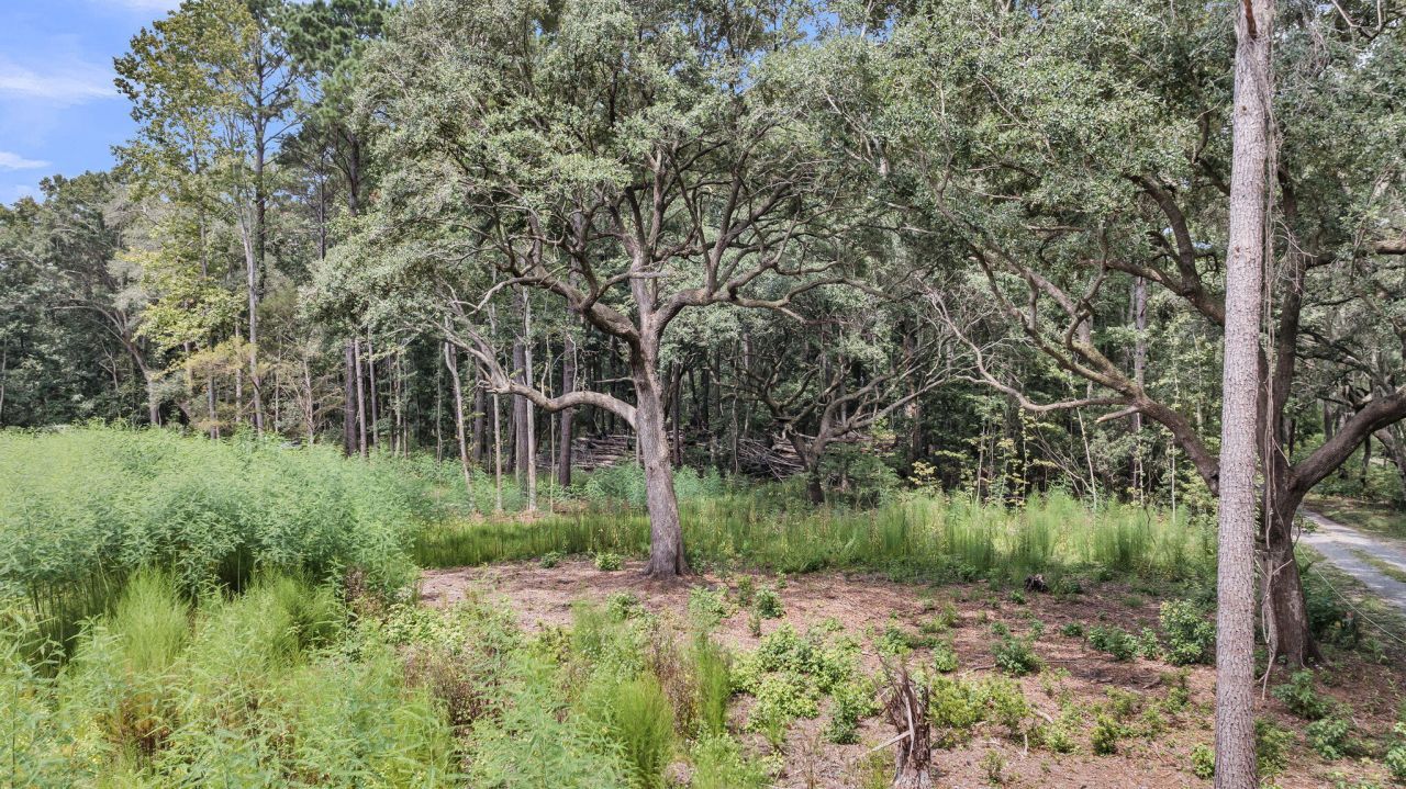 3950 Humbert Road Photo 20