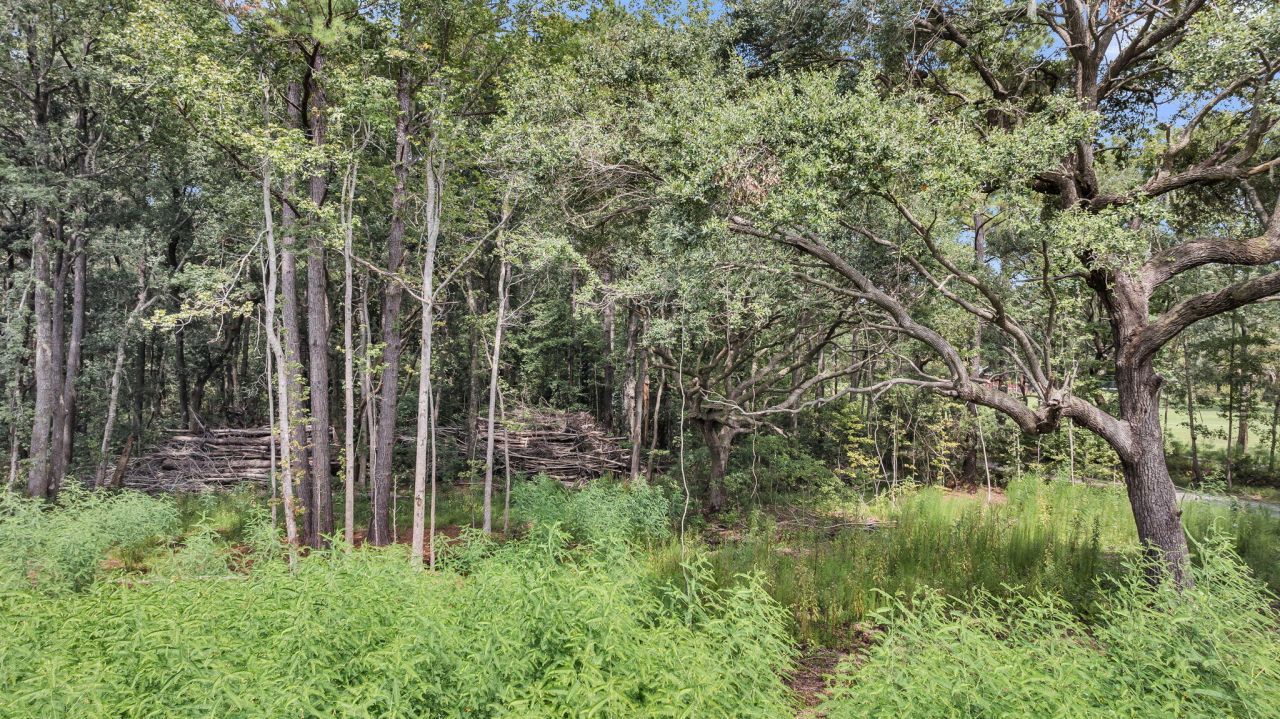 3950 Humbert Road Photo 21