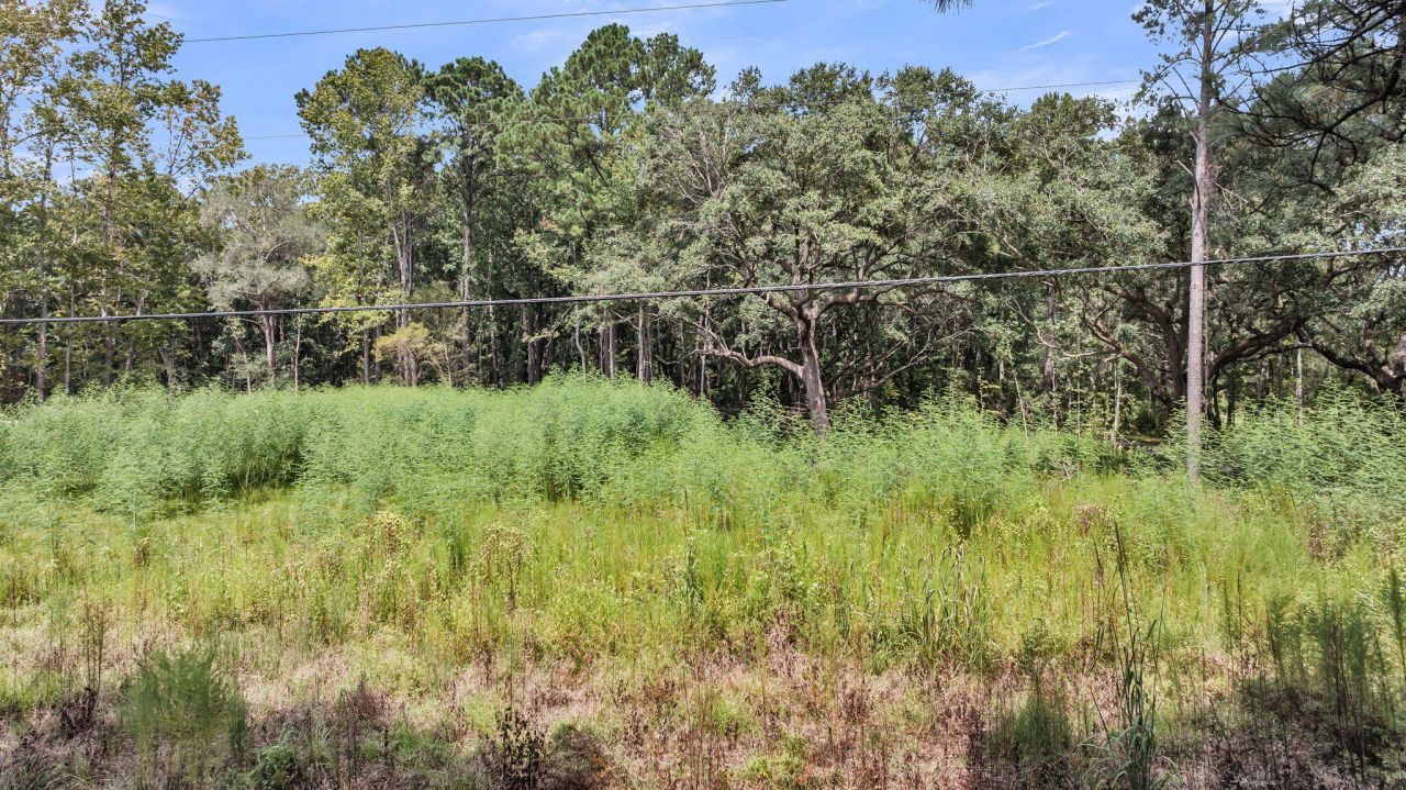 3950 Humbert Road Photo 22