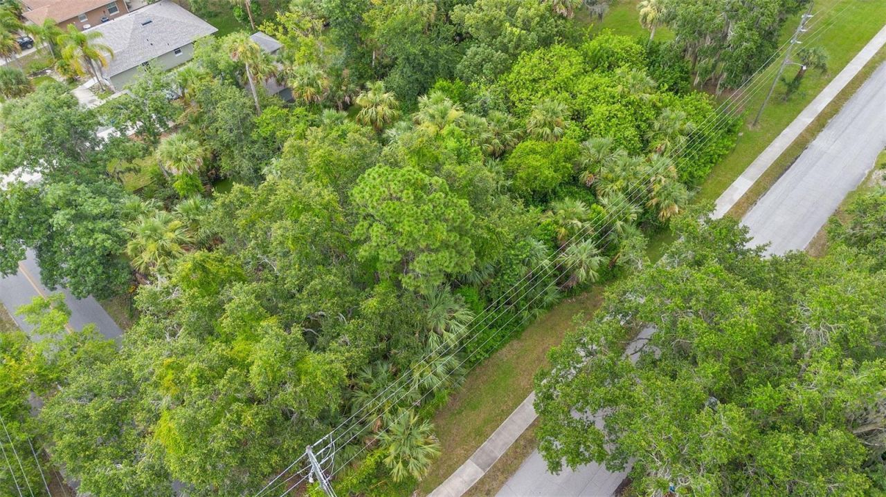 0 Milford Place, New Smyrna Beach, FL 32168 Photo