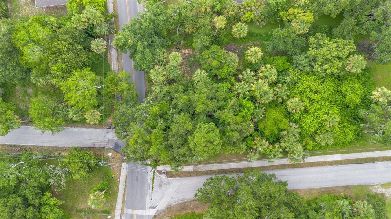 0 Milford Place, New Smyrna Beach, FL 32168 Photo