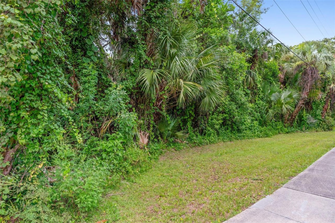 0 Milford Place, New Smyrna Beach, FL 32168 Photo