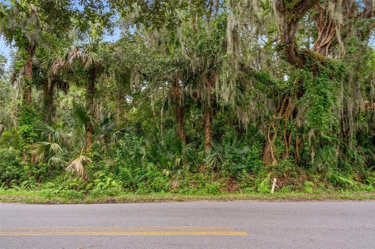 0 Milford Place, New Smyrna Beach, FL 32168 Photo