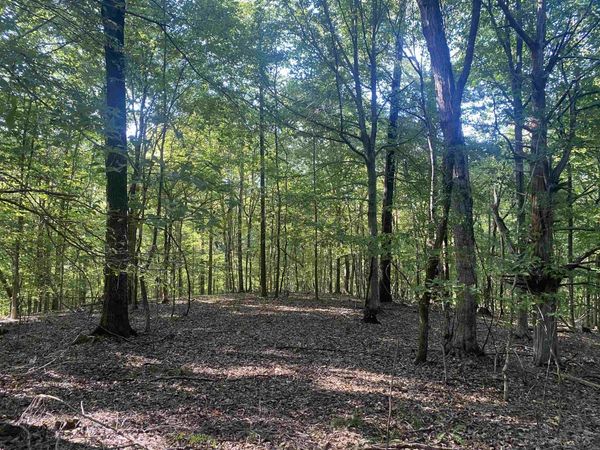 1 FRIENDSHIP LOOP, Savannah, TN 38372
