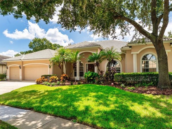 9117 WOODRIDGE RUN DRIVE, TAMPA, FL 33647