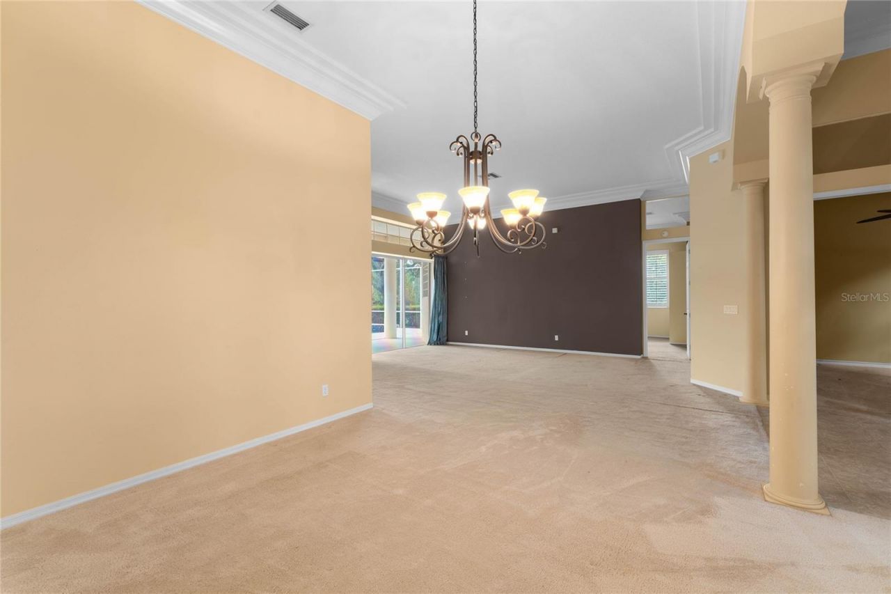 9117 Woodridge Run Drive, Tampa, FL 33647 Photo