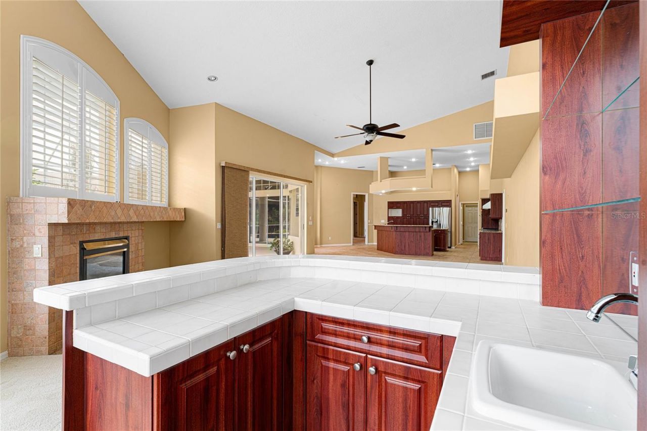 9117 Woodridge Run Drive, Tampa, FL 33647 Photo