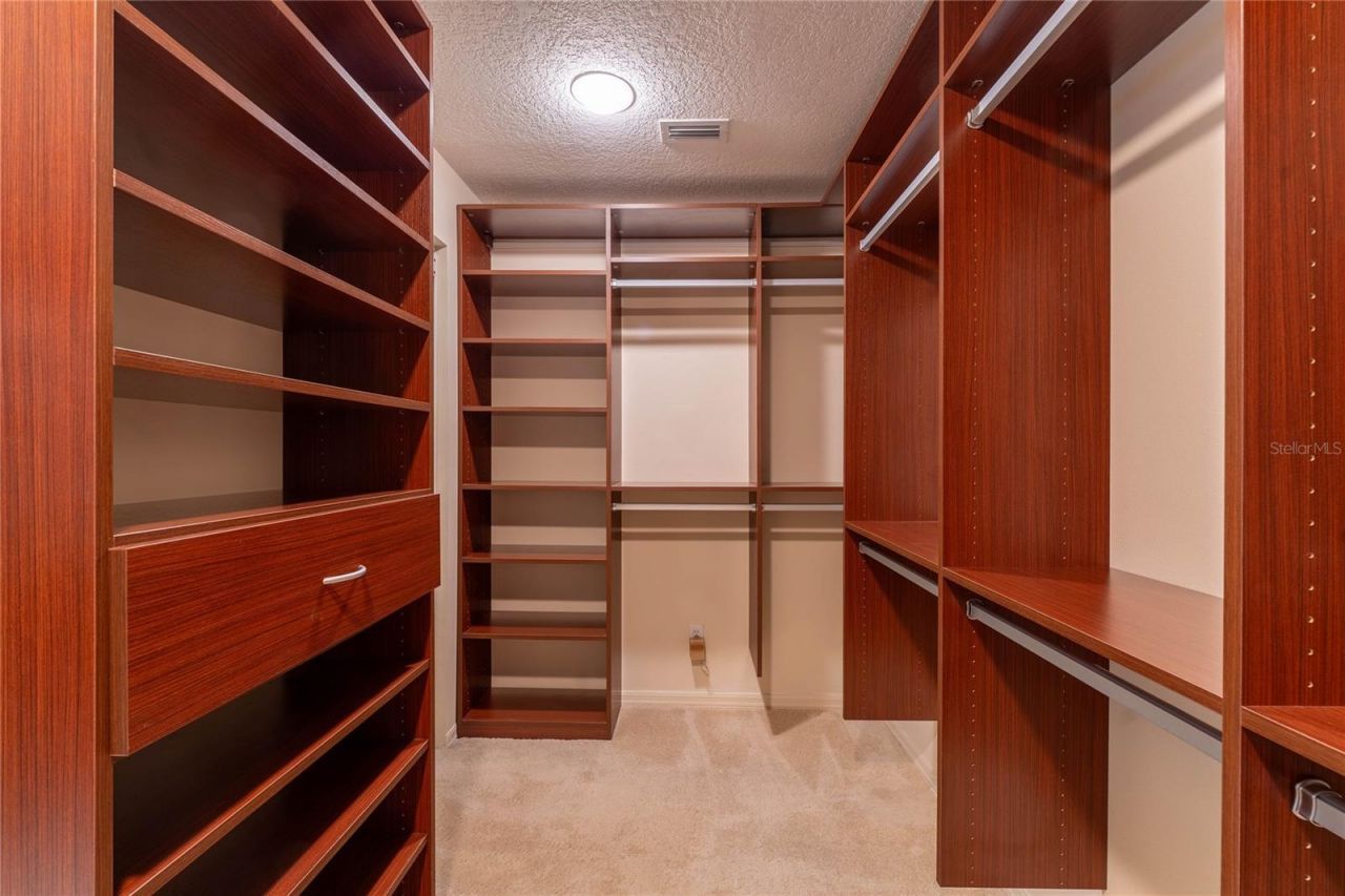 9117 Woodridge Run Drive, Tampa, FL 33647 Photo