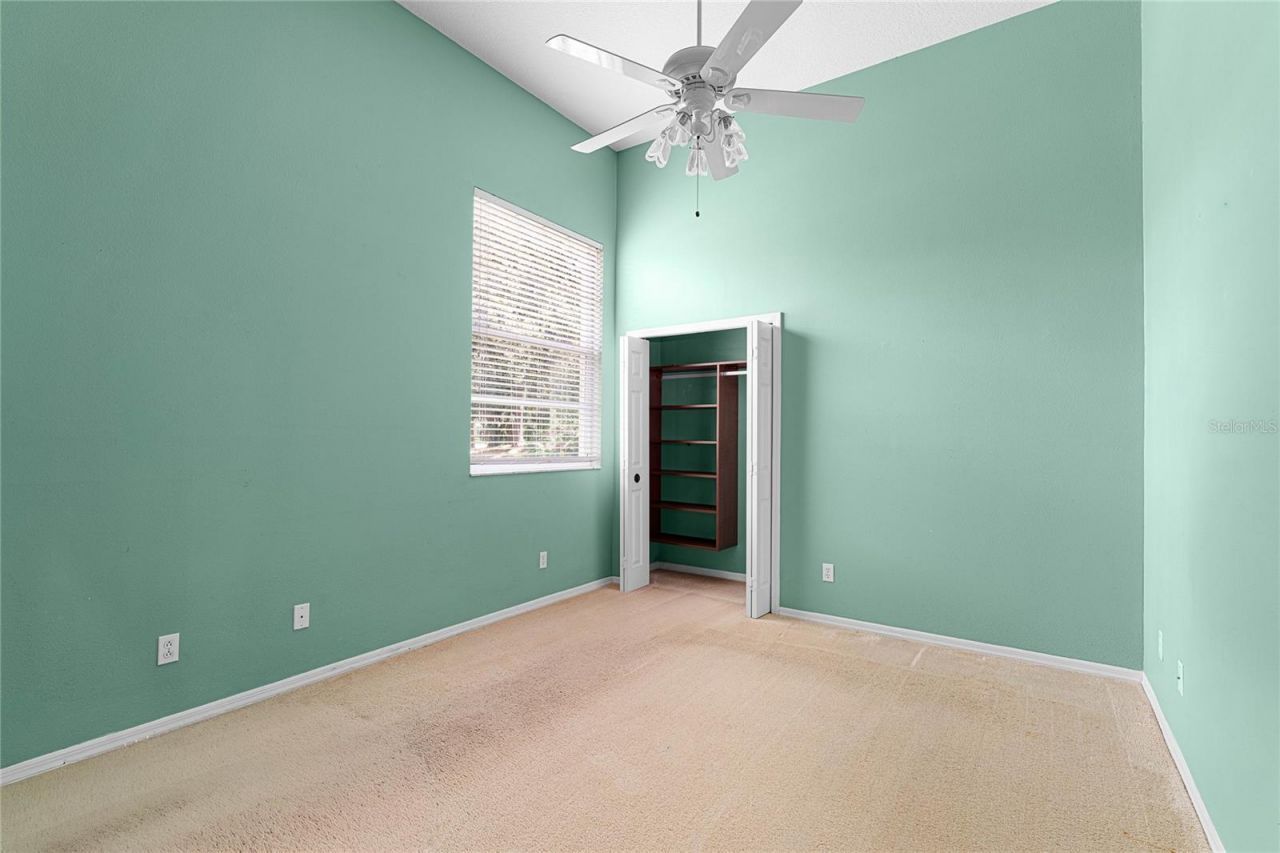 9117 Woodridge Run Drive, Tampa, FL 33647 Photo