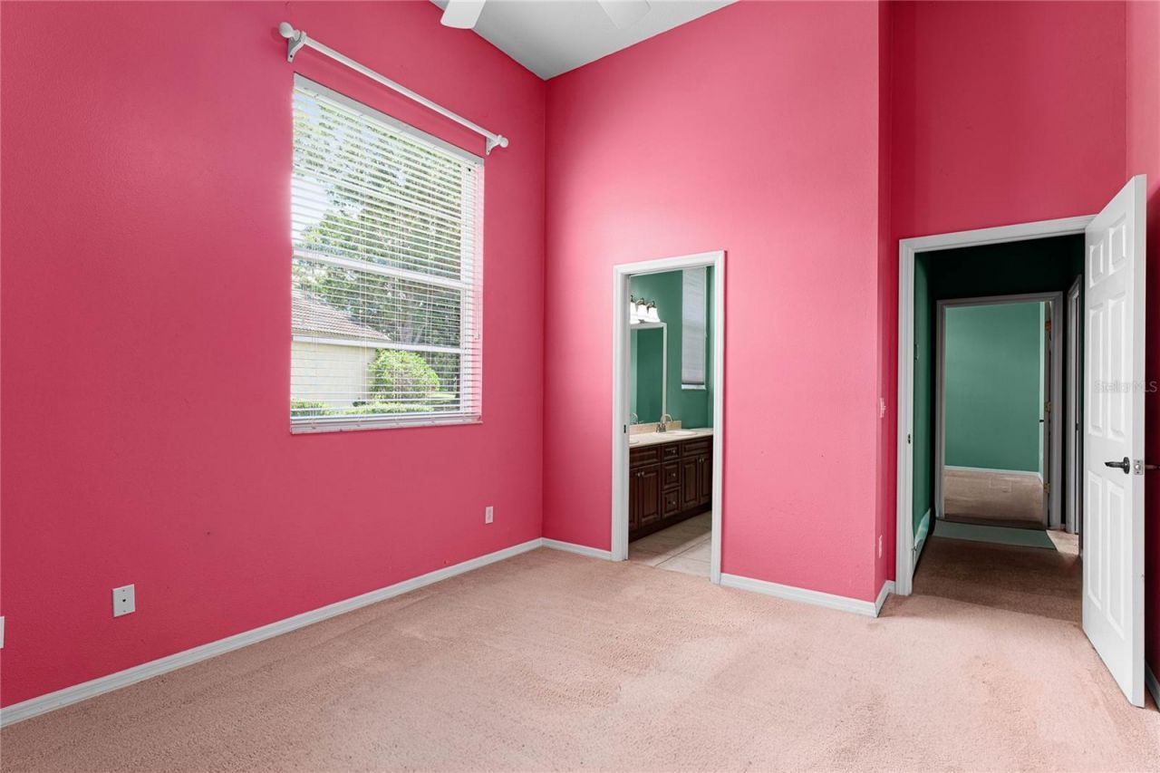 9117 Woodridge Run Drive, Tampa, FL 33647 Photo