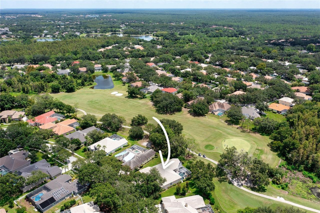 9117 Woodridge Run Drive, Tampa, FL 33647 Photo