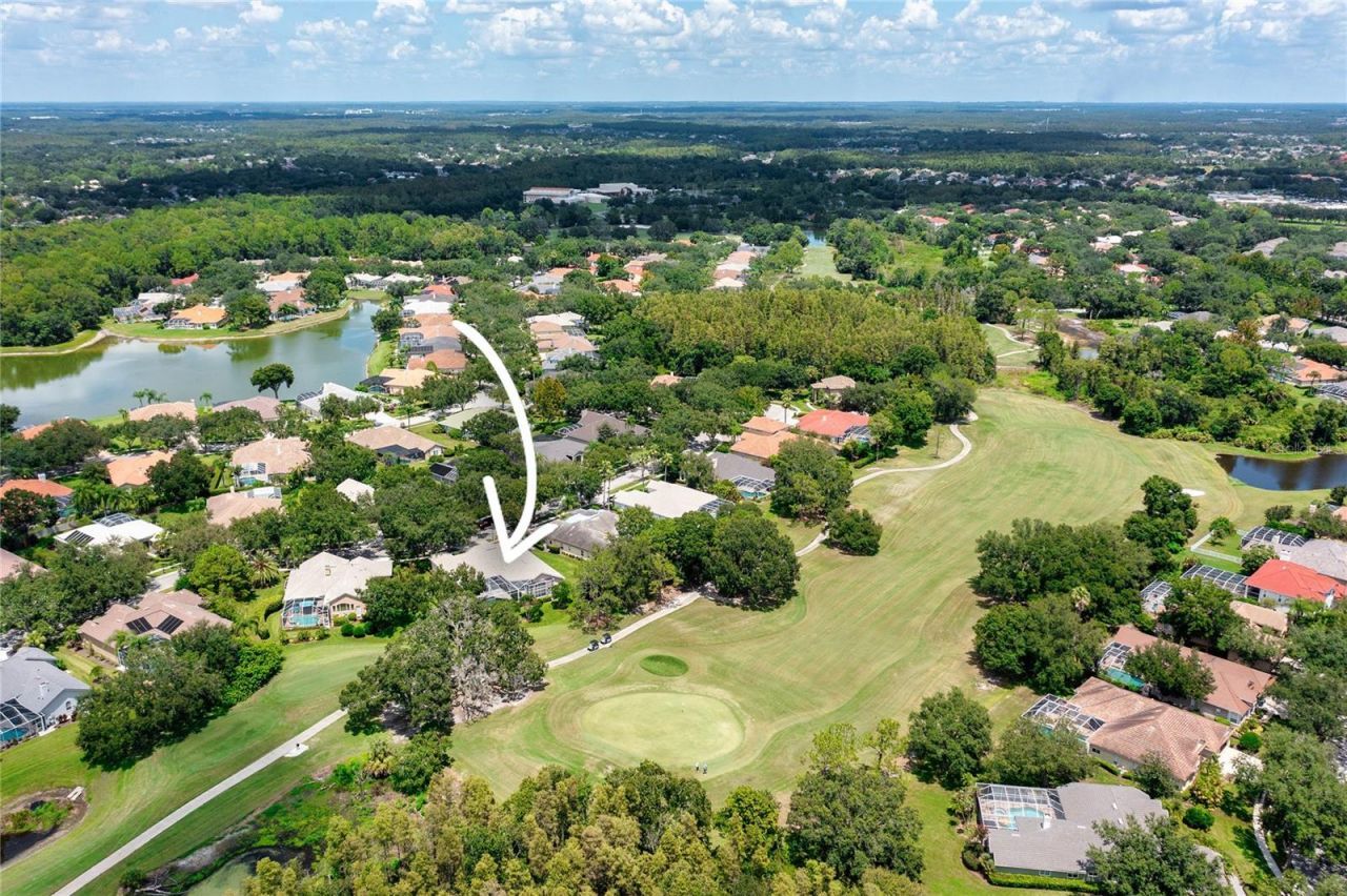 9117 Woodridge Run Drive, Tampa, FL 33647 Photo