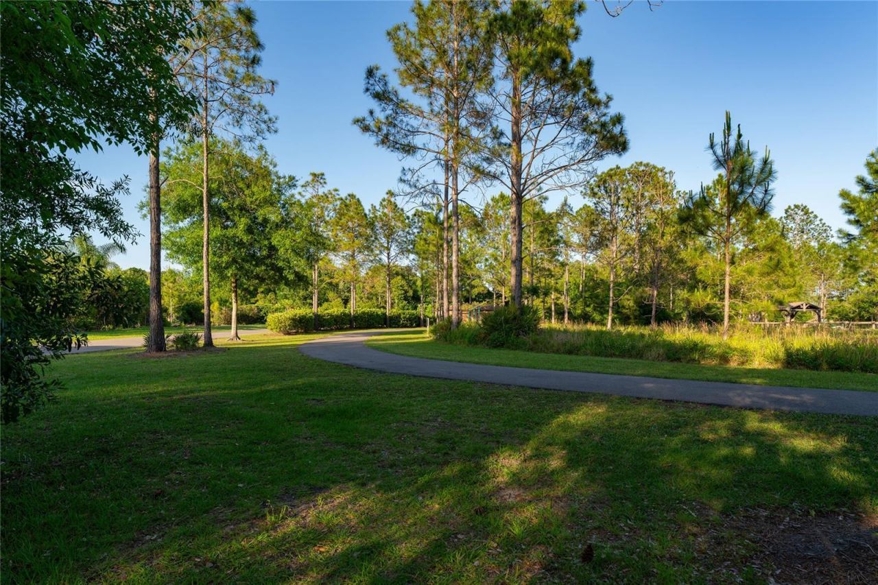 9117 Woodridge Run Drive, Tampa, FL 33647 Photo