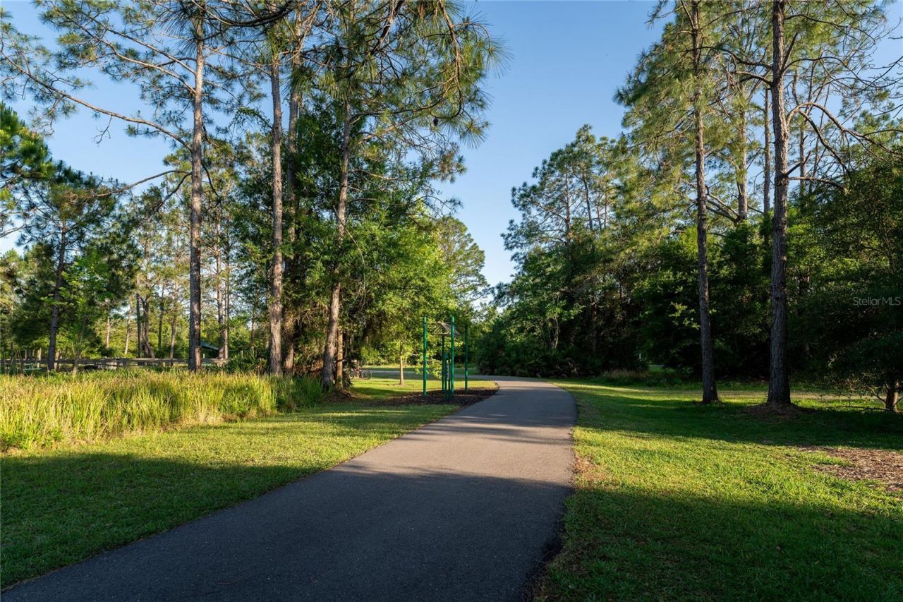 9117 Woodridge Run Drive, Tampa, FL 33647 Photo