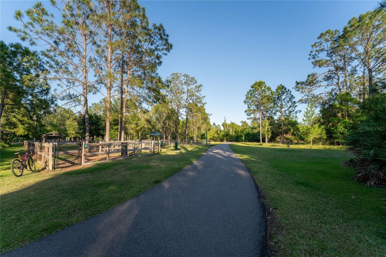 9117 Woodridge Run Drive, Tampa, FL 33647 Photo