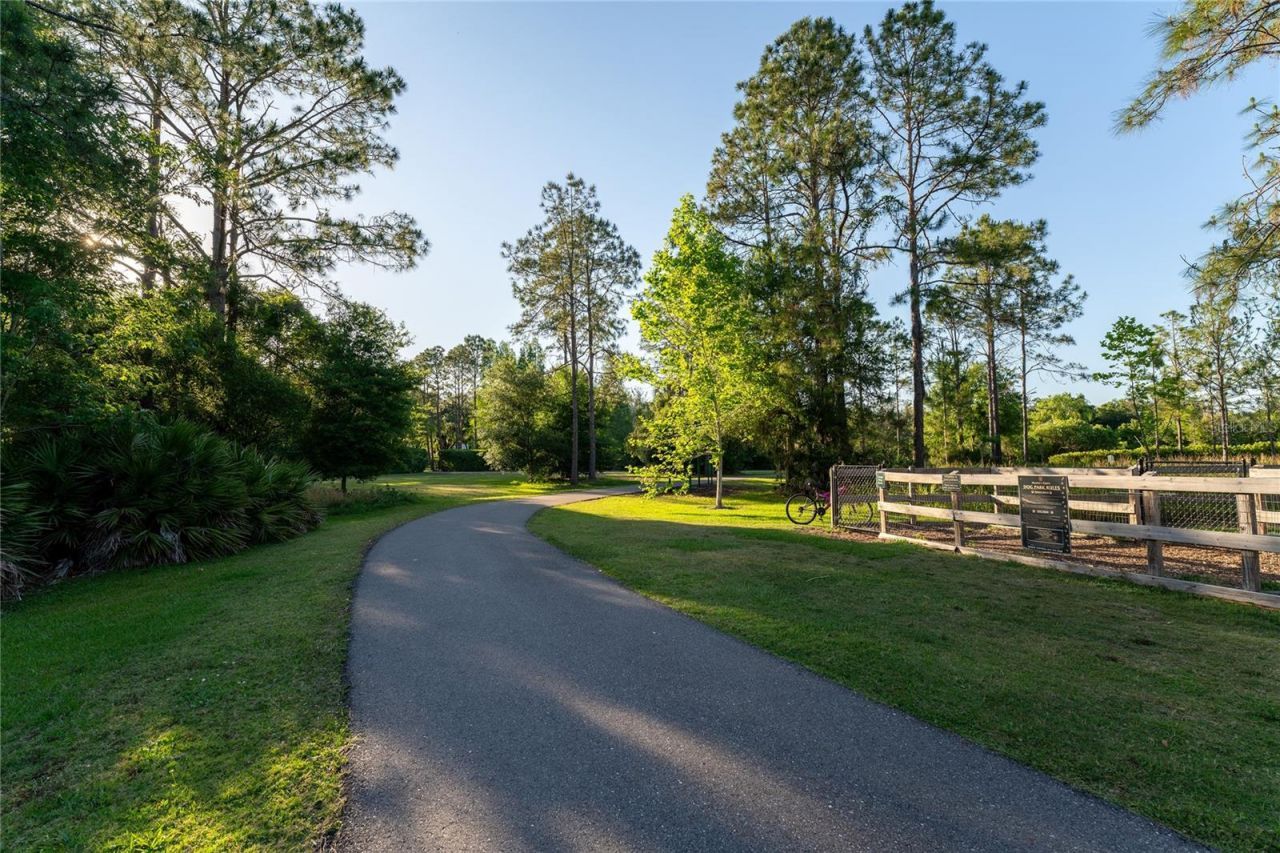 9117 Woodridge Run Drive, Tampa, FL 33647 Photo