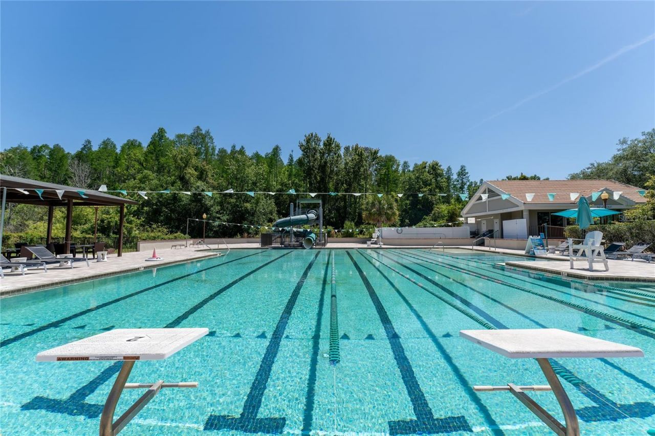 9117 Woodridge Run Drive, Tampa, FL 33647 Photo