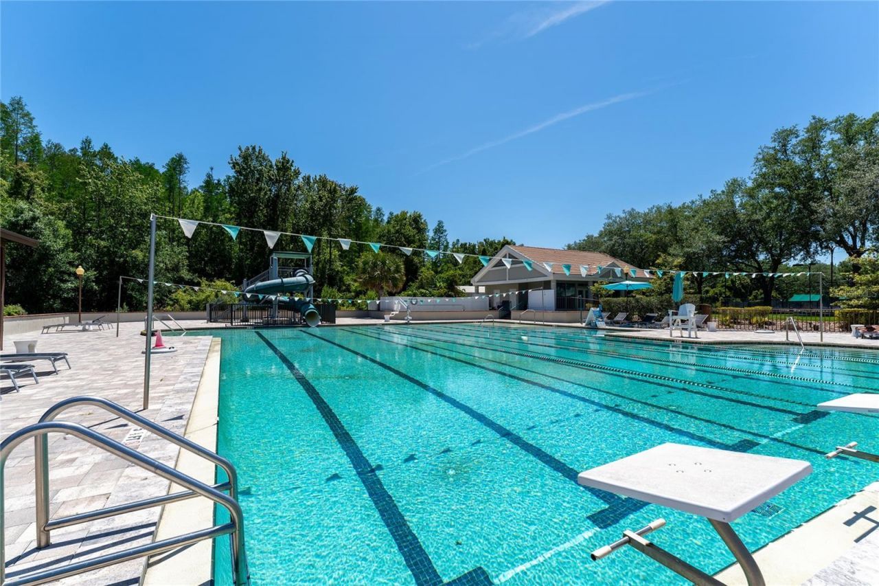 9117 Woodridge Run Drive, Tampa, FL 33647 Photo