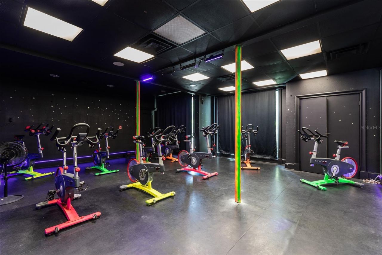 9117 Woodridge Run Drive, Tampa, FL 33647 Photo