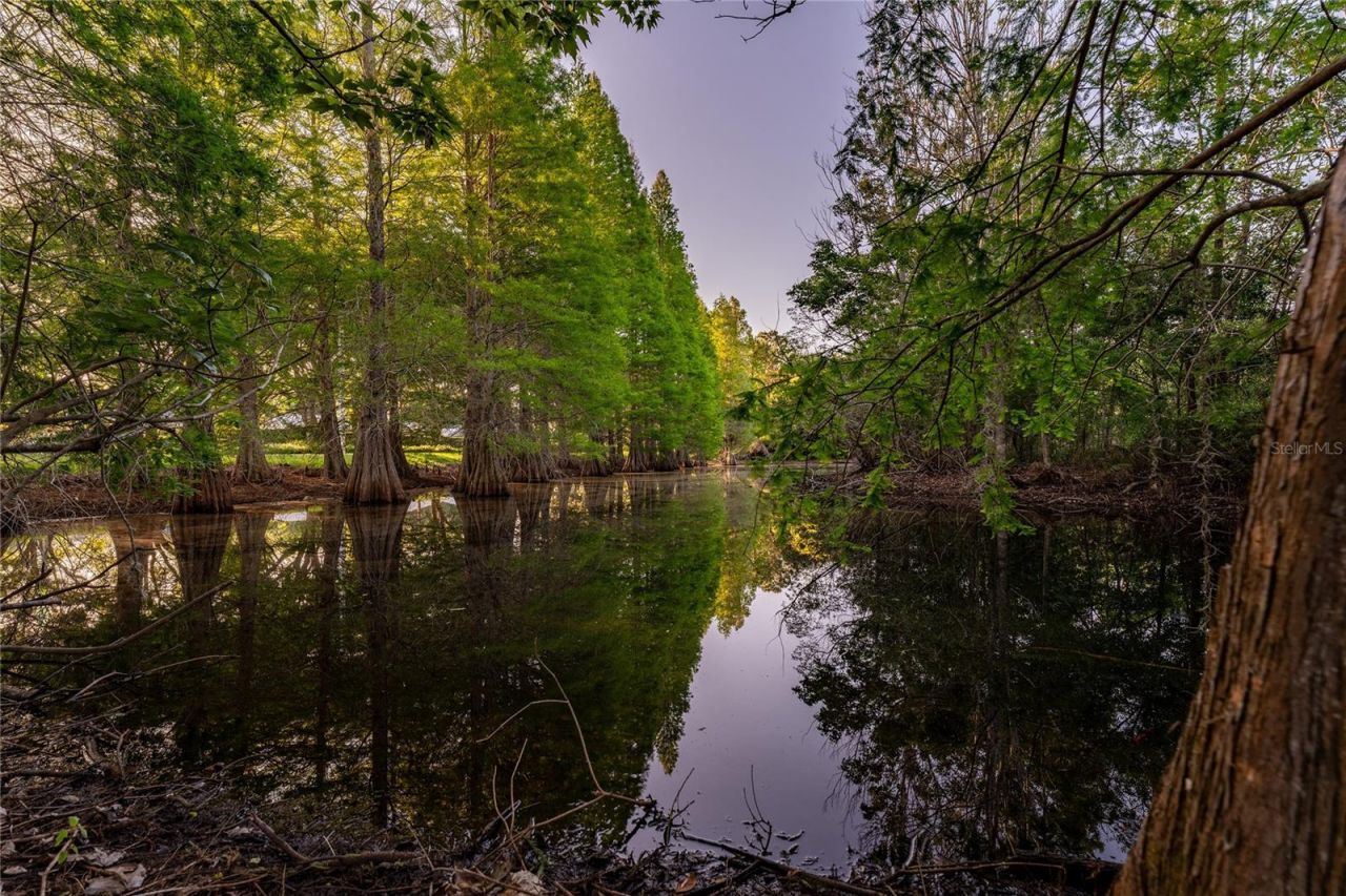 9117 Woodridge Run Drive, Tampa, FL 33647 Photo