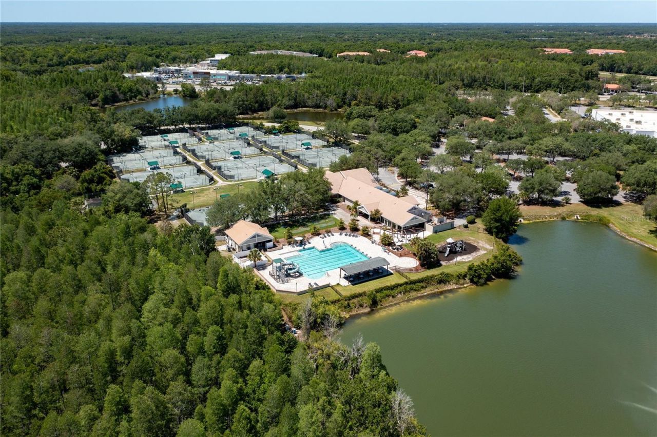 9117 Woodridge Run Drive, Tampa, FL 33647 Photo