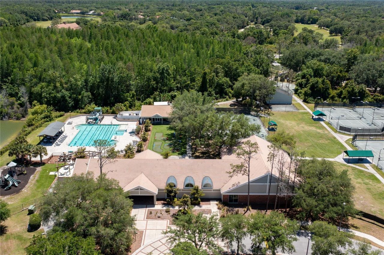 9117 Woodridge Run Drive, Tampa, FL 33647 Photo