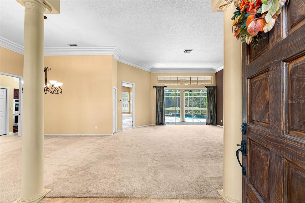 9117 Woodridge Run Drive, Tampa, FL 33647 Photo