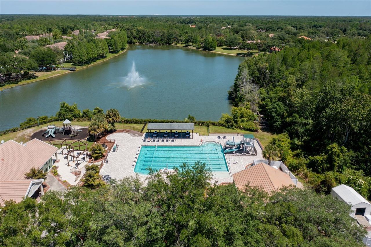 9117 Woodridge Run Drive, Tampa, FL 33647 Photo