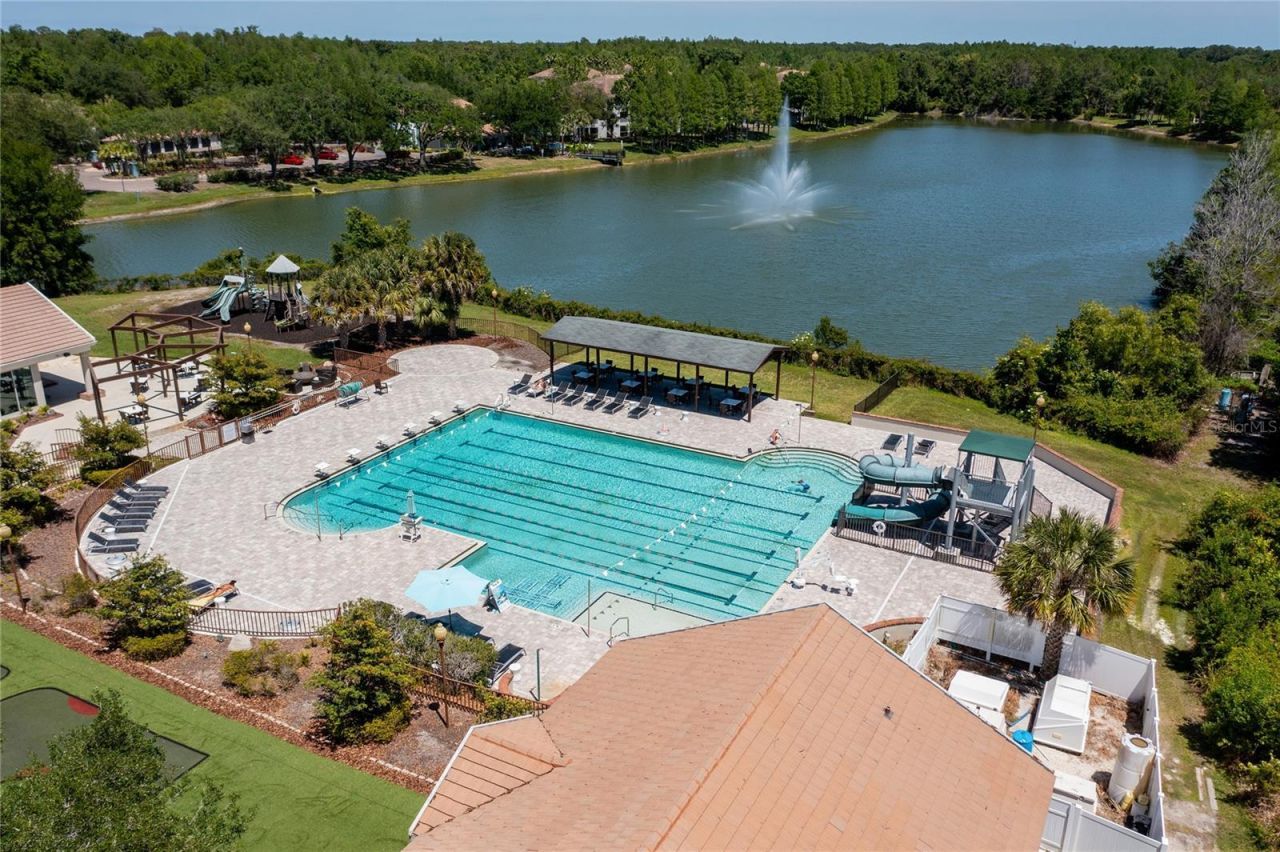 9117 Woodridge Run Drive, Tampa, FL 33647 Photo