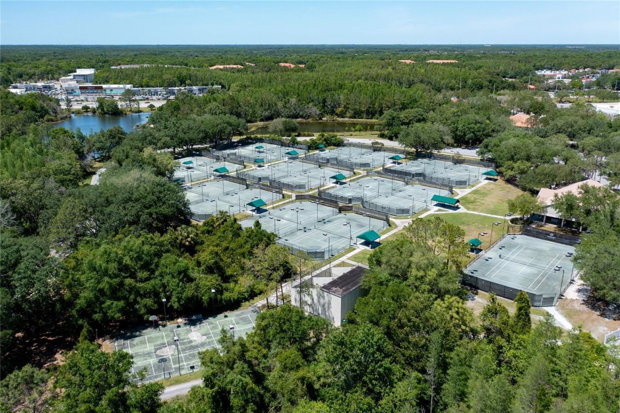 9117 Woodridge Run Drive, Tampa, FL 33647 Photo