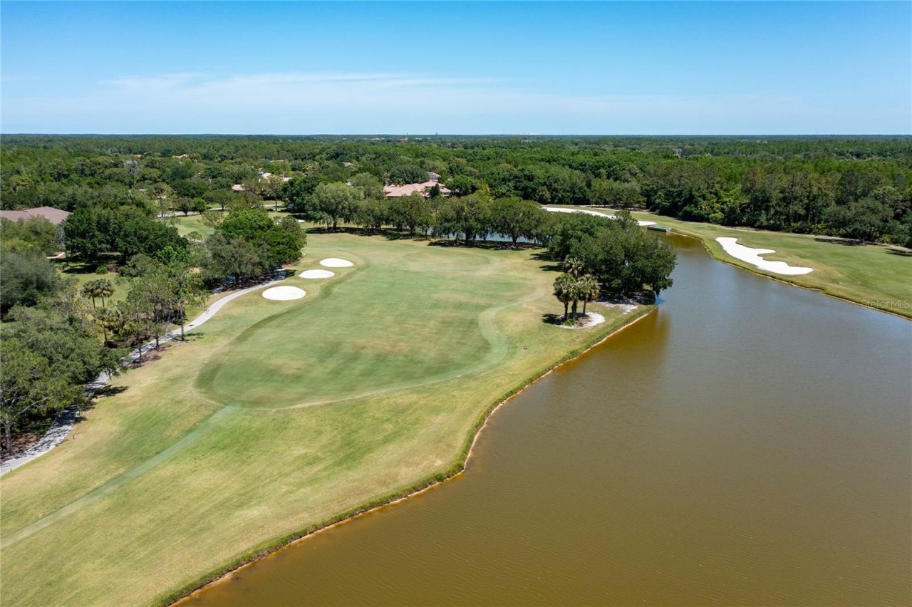 9117 Woodridge Run Drive, Tampa, FL 33647 Photo