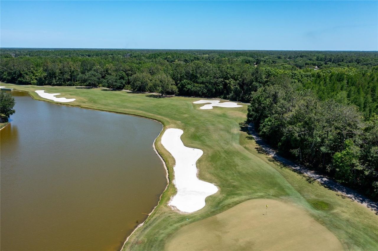 9117 Woodridge Run Drive, Tampa, FL 33647 Photo