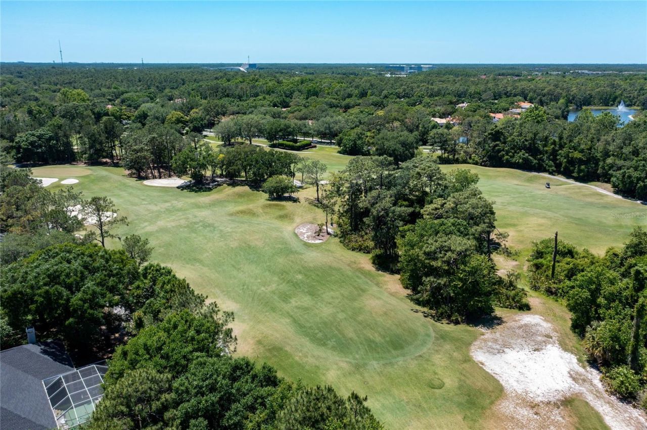 9117 Woodridge Run Drive, Tampa, FL 33647 Photo