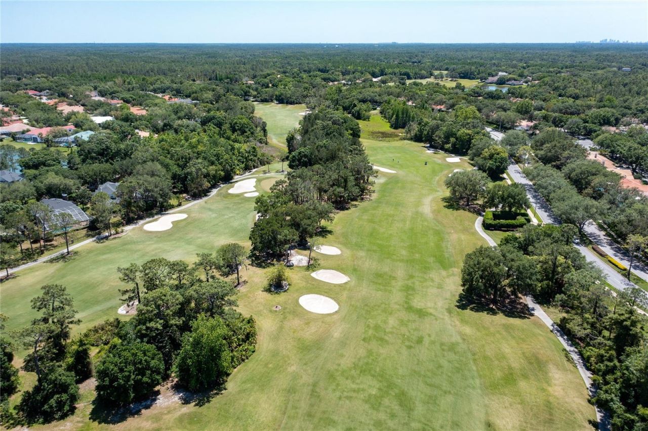 9117 Woodridge Run Drive, Tampa, FL 33647 Photo