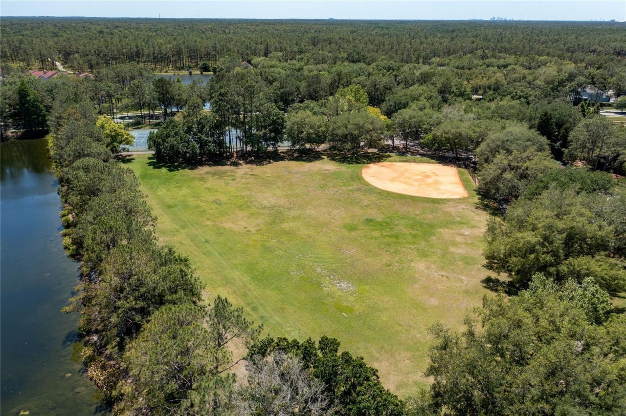 9117 Woodridge Run Drive, Tampa, FL 33647 Photo