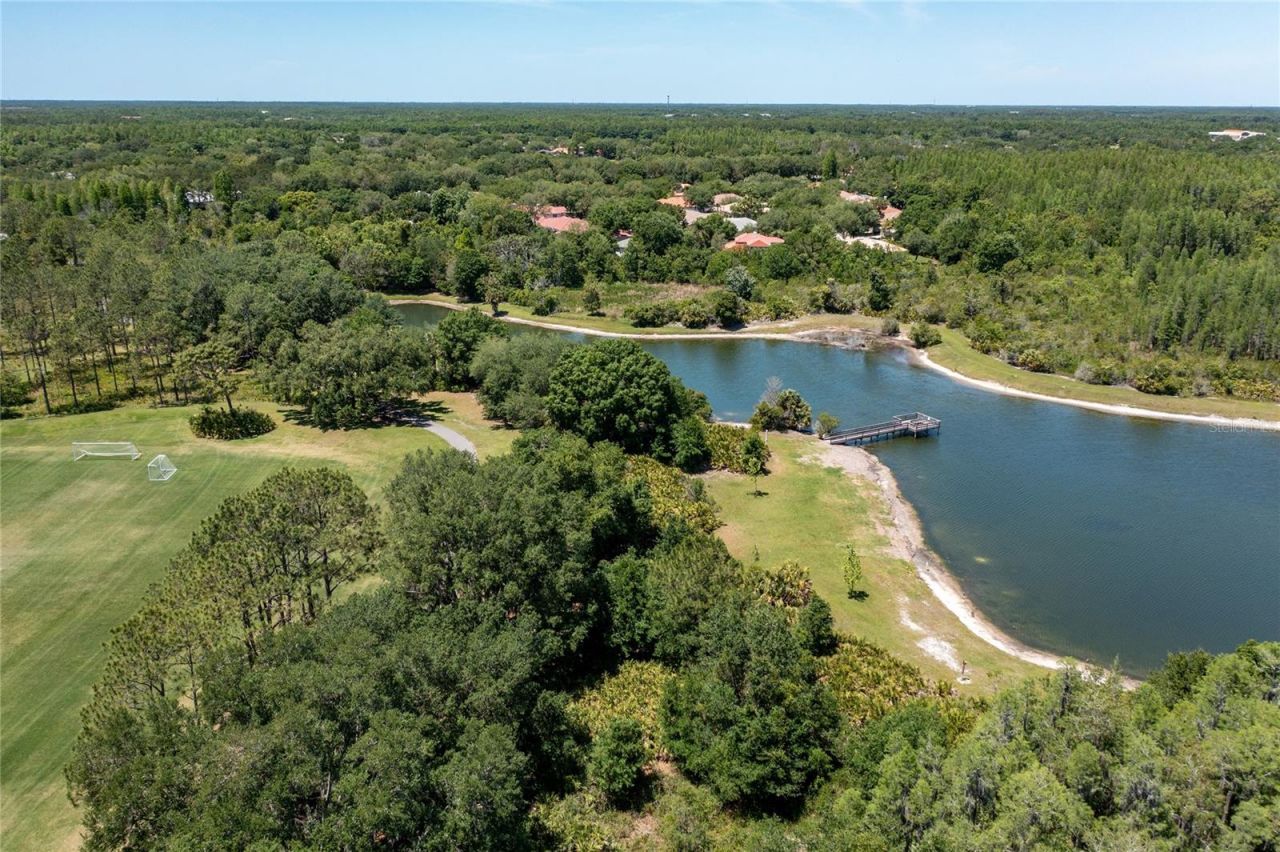 9117 Woodridge Run Drive, Tampa, FL 33647 Photo