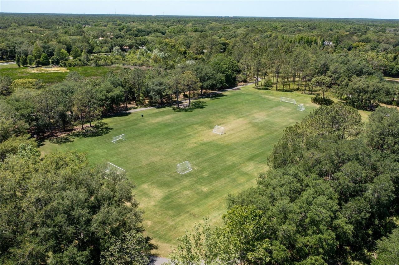 9117 Woodridge Run Drive, Tampa, FL 33647 Photo