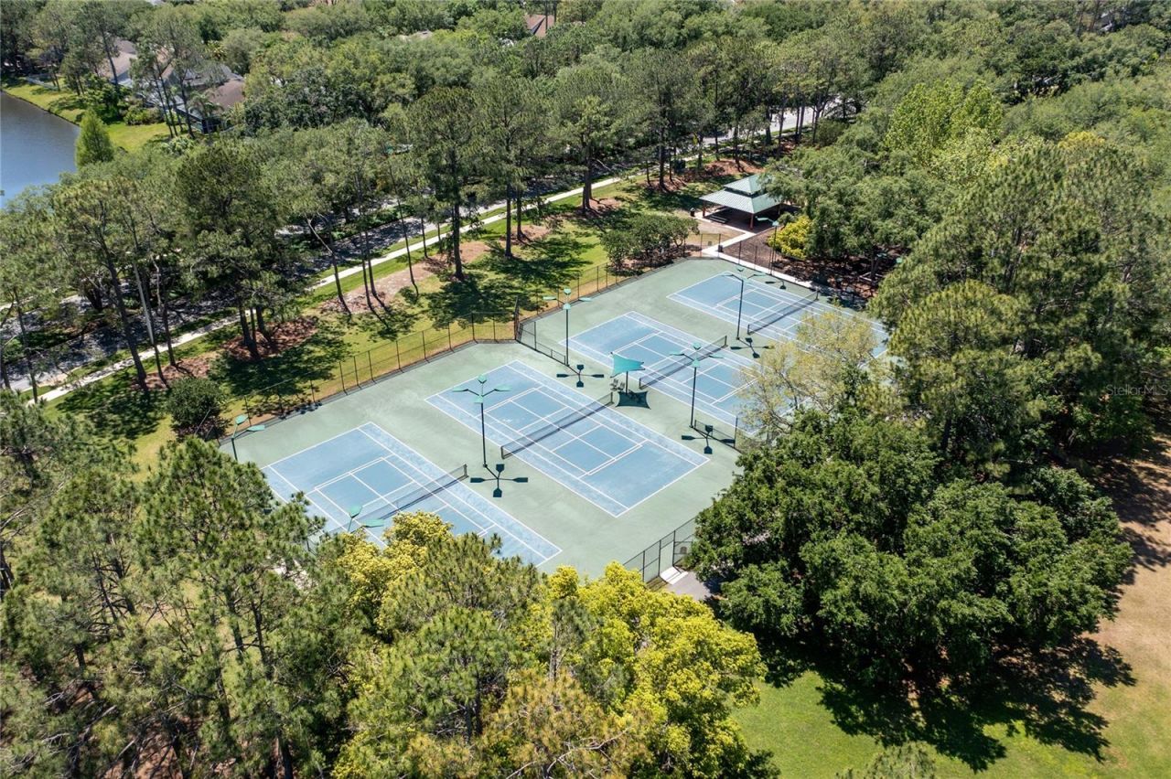 9117 Woodridge Run Drive, Tampa, FL 33647 Photo