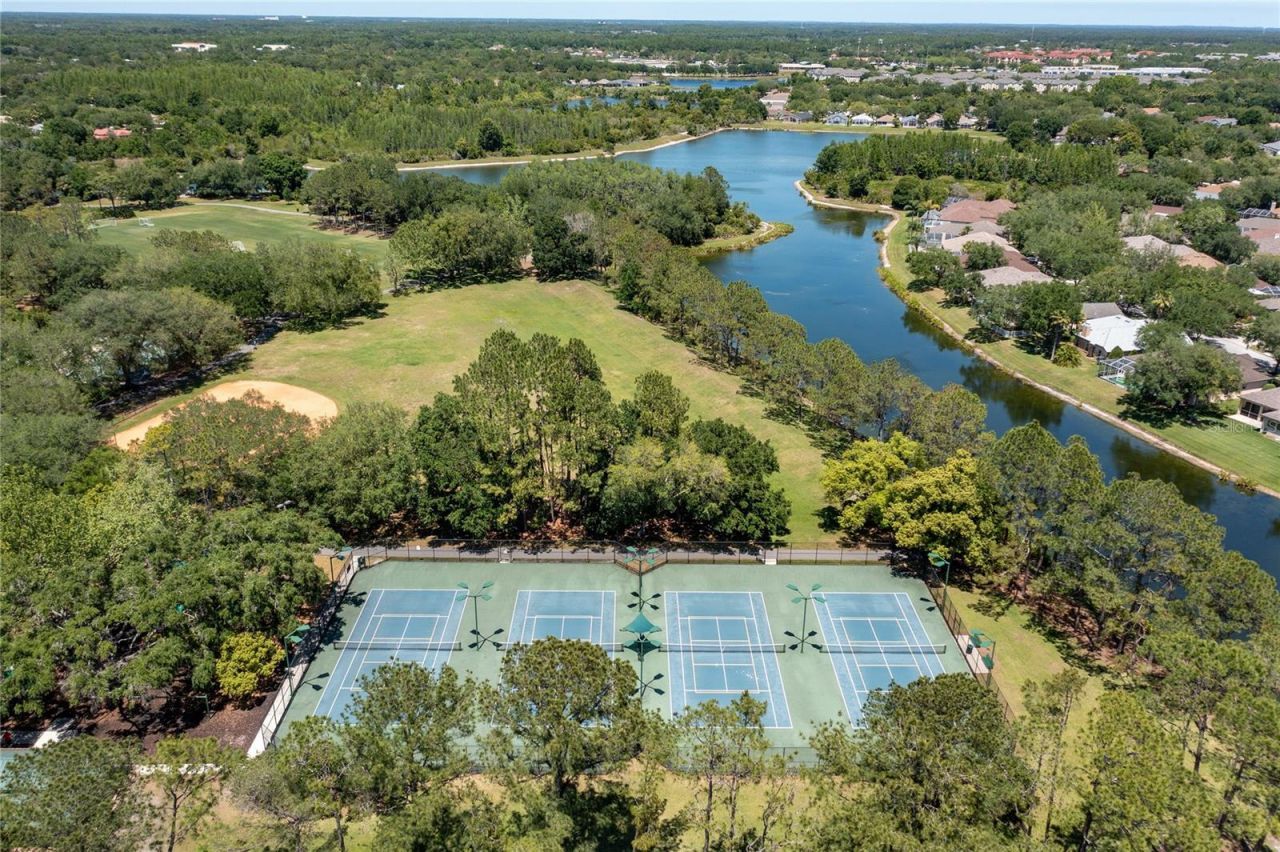 9117 Woodridge Run Drive, Tampa, FL 33647 Photo