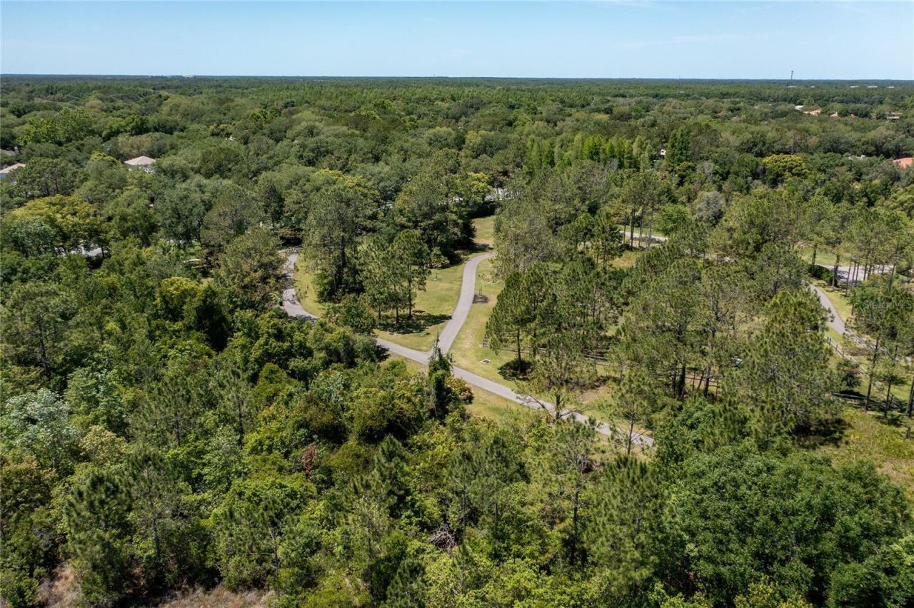 9117 Woodridge Run Drive, Tampa, FL 33647 Photo