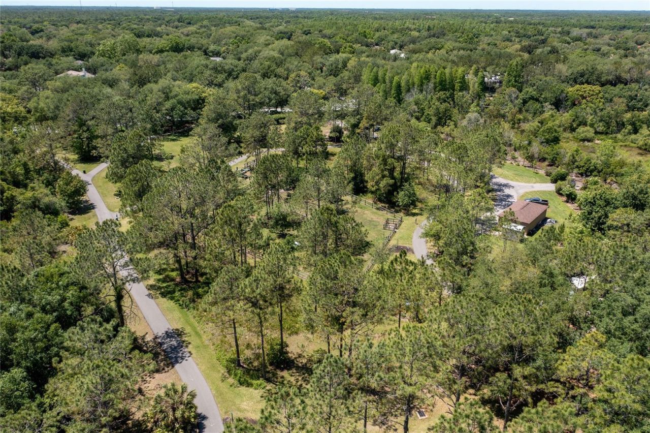 9117 Woodridge Run Drive, Tampa, FL 33647 Photo