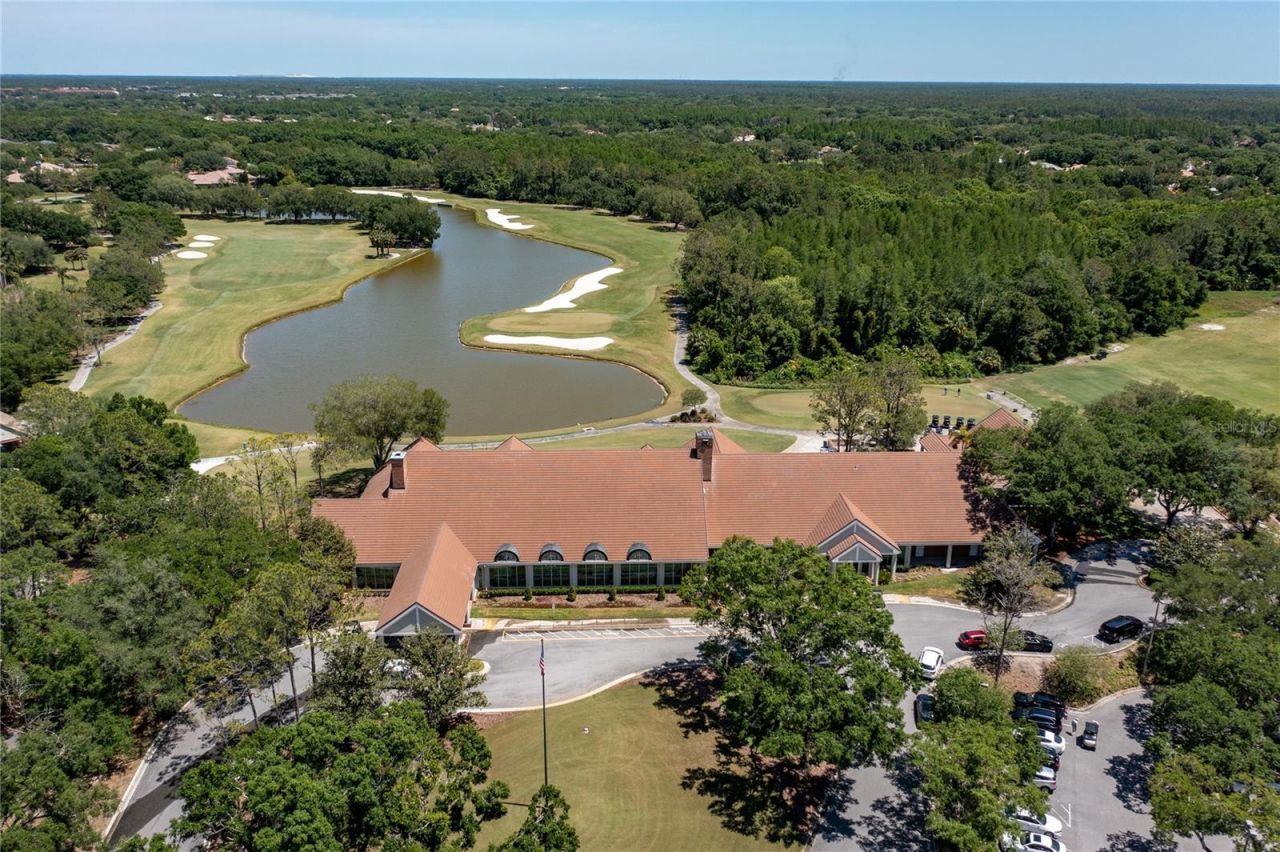 9117 Woodridge Run Drive, Tampa, FL 33647 Photo