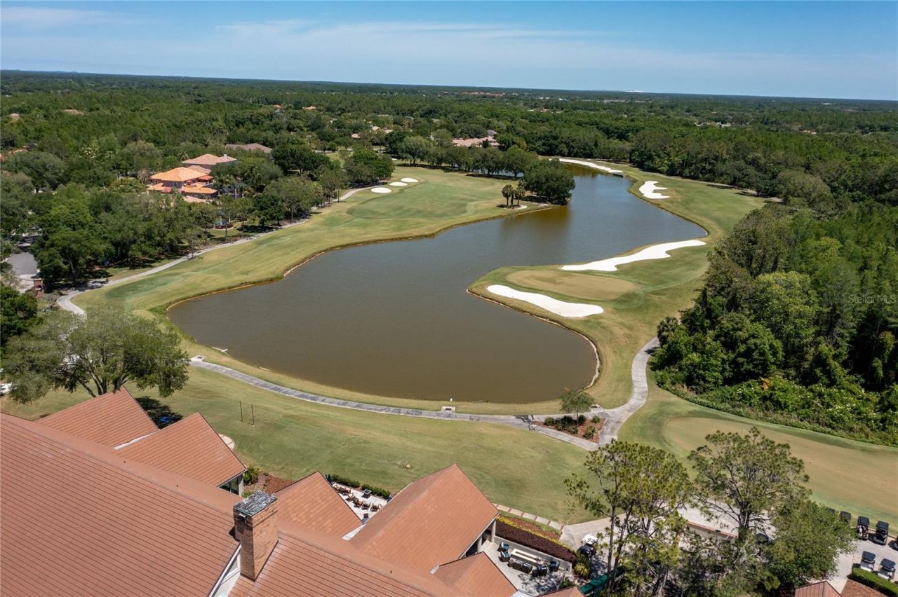 9117 Woodridge Run Drive, Tampa, FL 33647 Photo