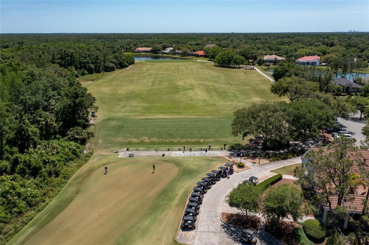 9117 Woodridge Run Drive, Tampa, FL 33647 Photo