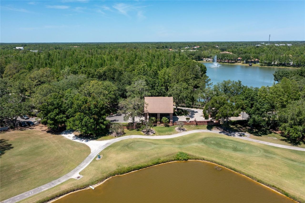 9117 Woodridge Run Drive, Tampa, FL 33647 Photo