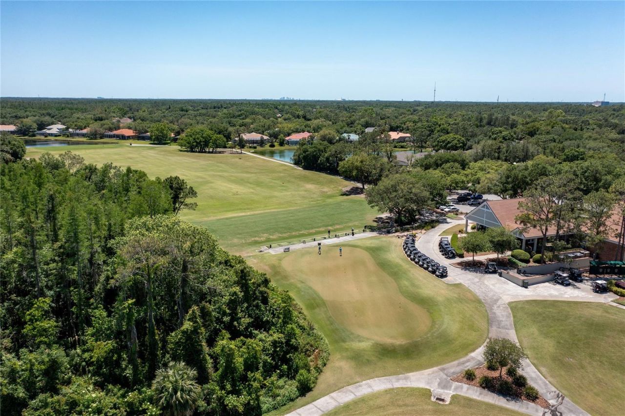 9117 Woodridge Run Drive, Tampa, FL 33647 Photo