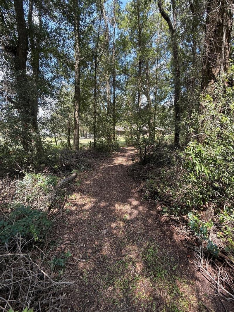 9901 SW 67th Terrace, Ocala, FL 34476 Photo