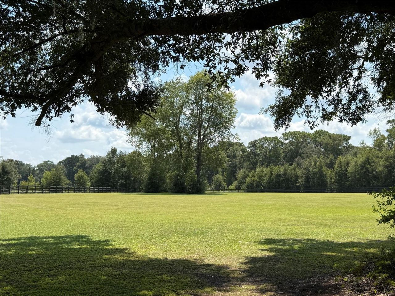 9901 SW 67th Terrace, Ocala, FL 34476 Photo