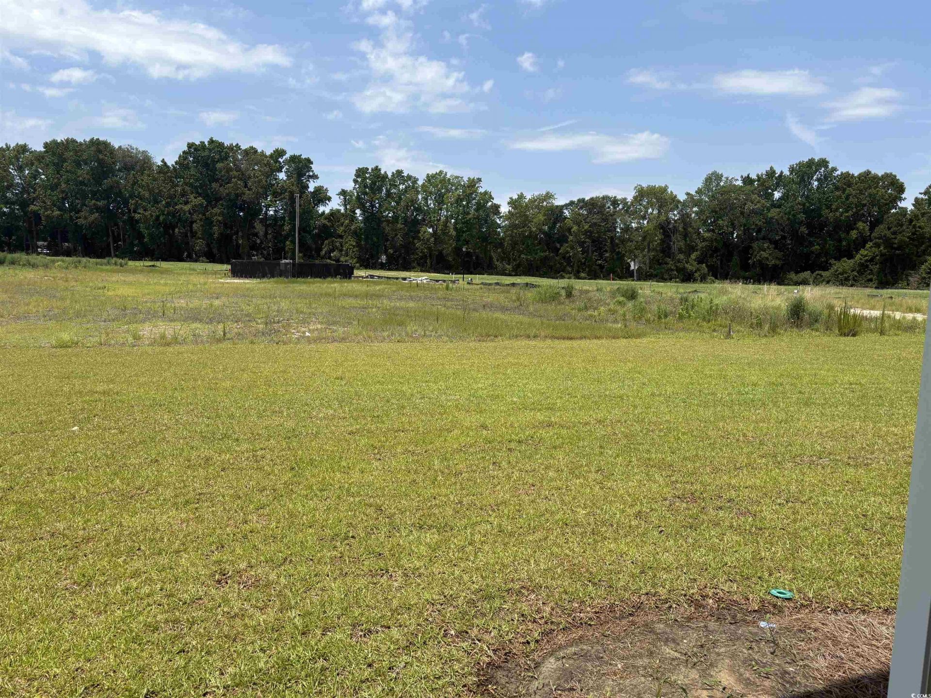 533 Briarfield Loop Photo 9